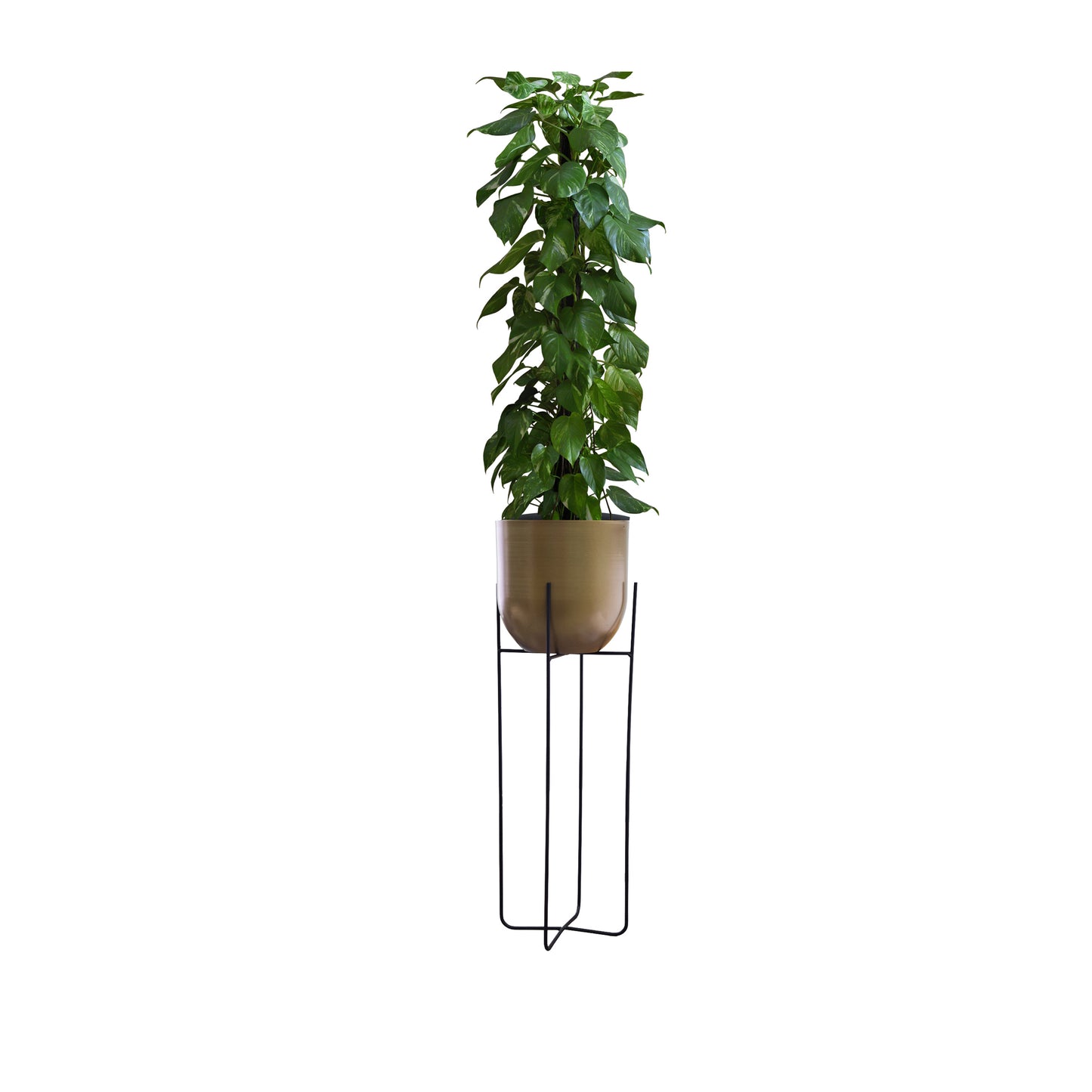 Urban Decor Indoor Table Planter With Stand for Flower Pots Gold