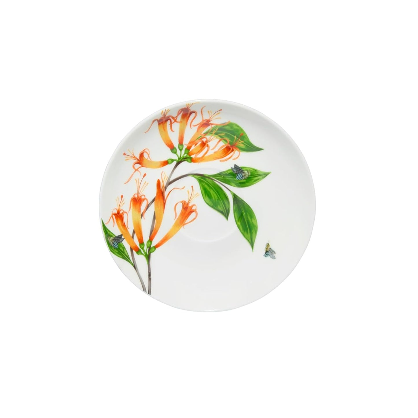 Maxwell & Williams 240ml Eloise Short Lyric Regent Honeyeater Cup & Saucer Set Multicoloured