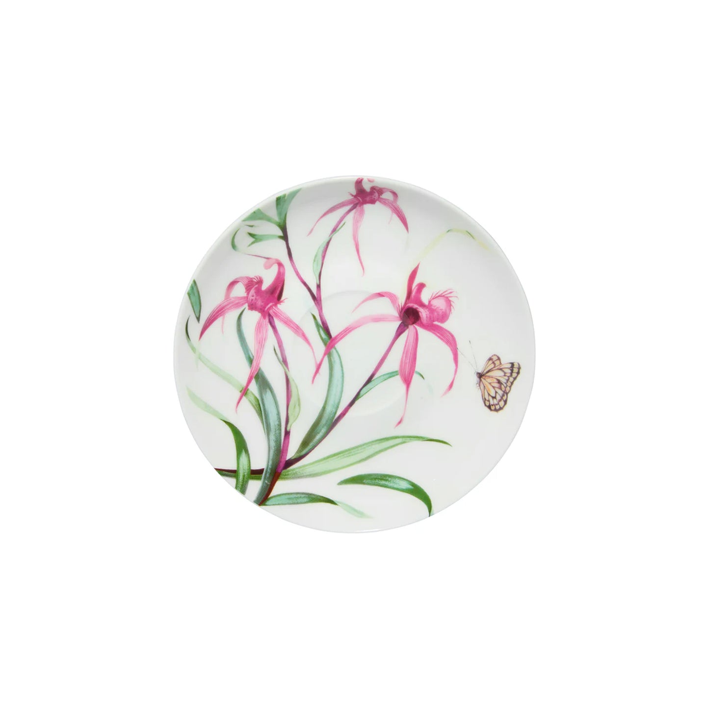 Maxwell & Williams 240ml Eloise Short Lyric Spinebill Honeyeater Cup & Saucer Set Multicoloured
