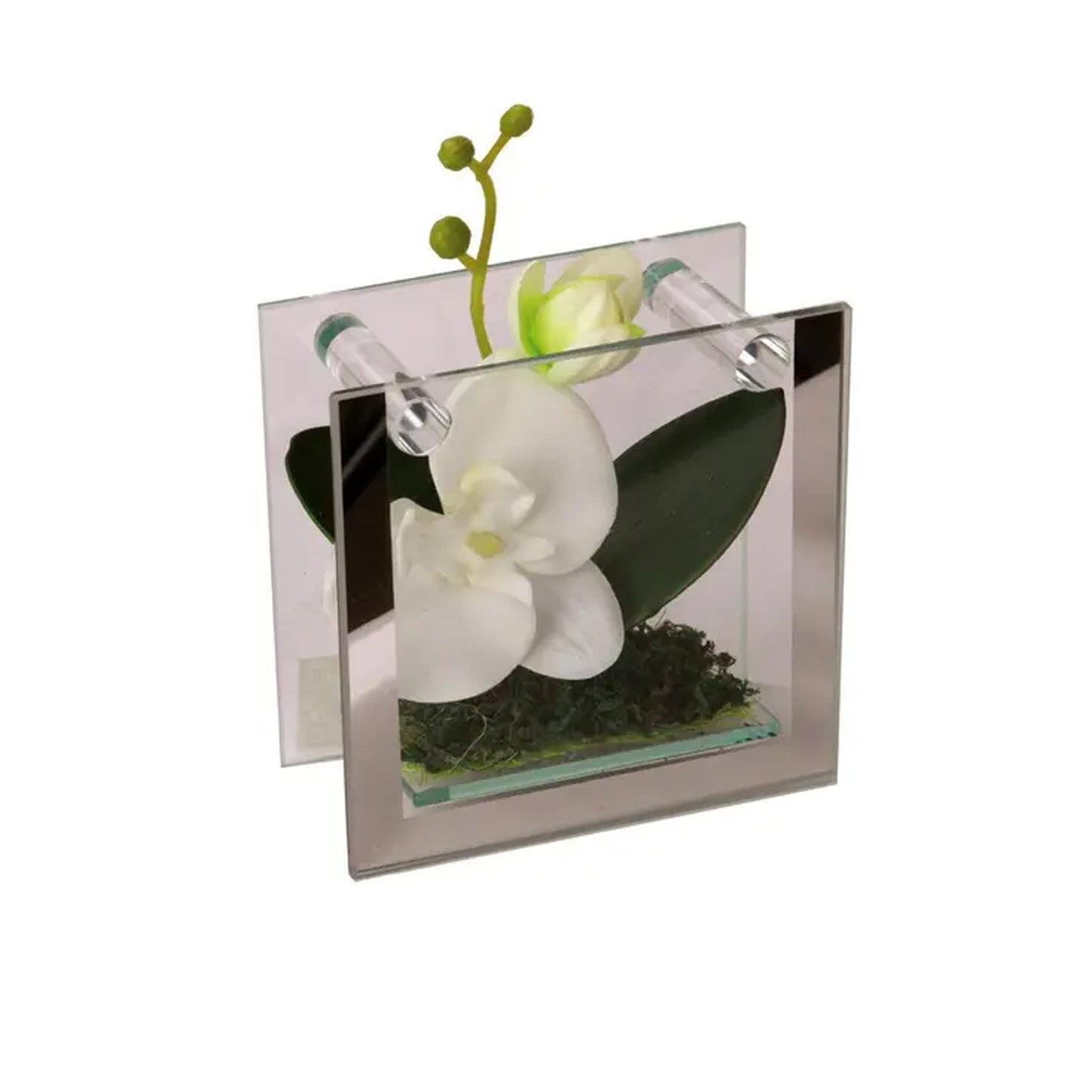 Urban Decor Orchid in Frame Green & White