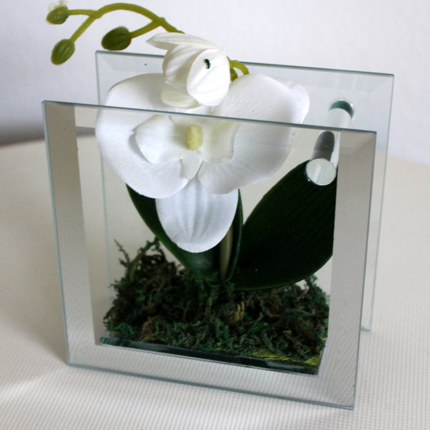 Urban Decor Orchid in Frame Green & White