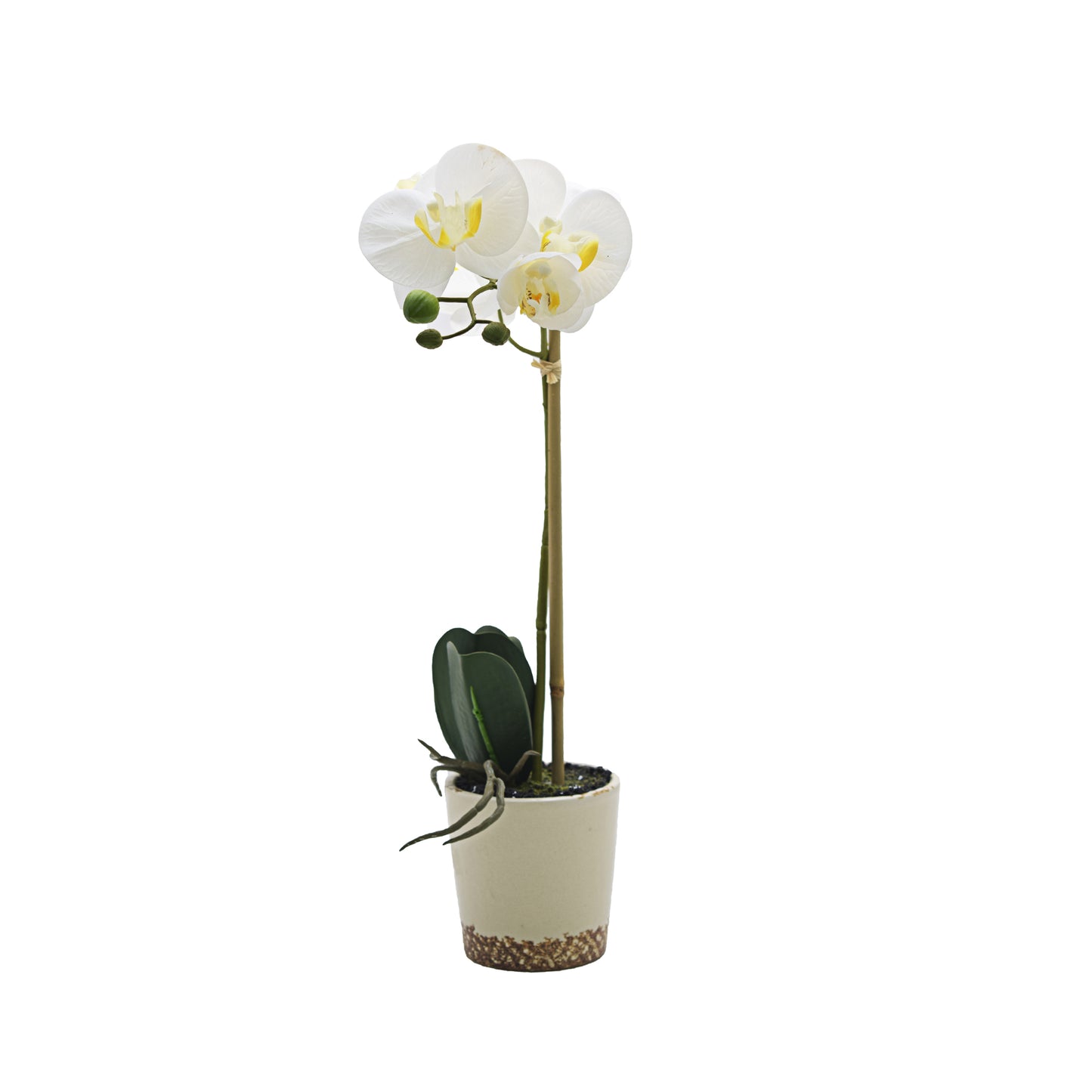 Urban Decor 43cm Real Touch Orchid White