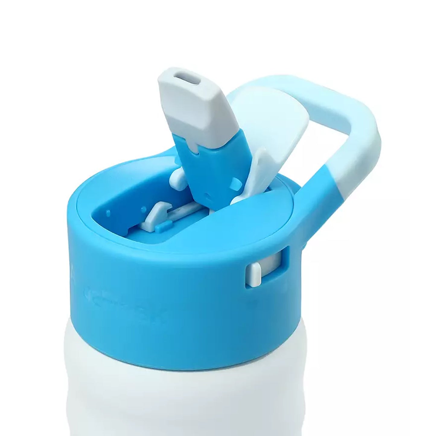 Aquaflask Kids Straw Sip 355ml Flask Equestrian