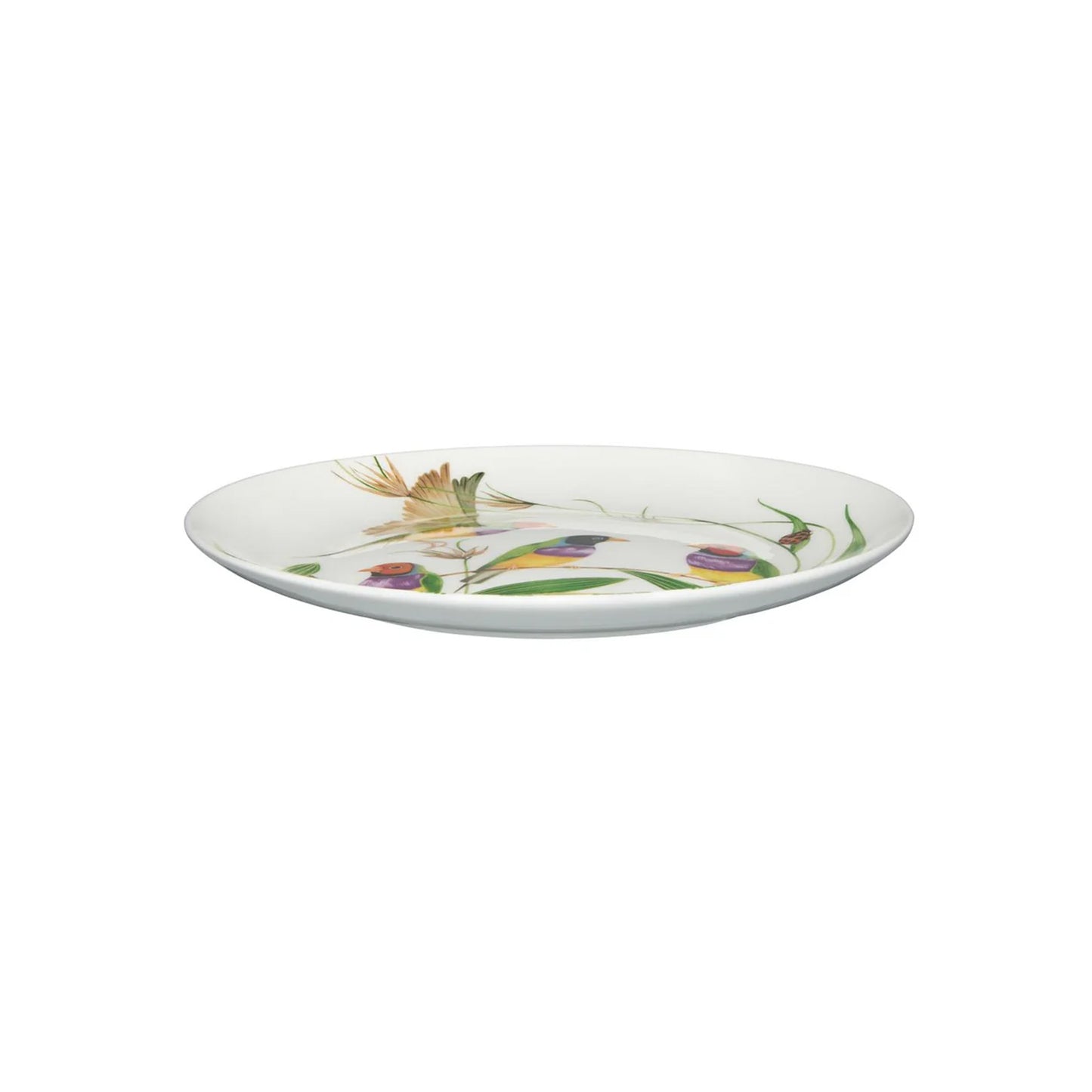 Maxwell & Williams 20cm Eloise Short Lyric Coupe Plate Gouldian Finch Multicoloured
