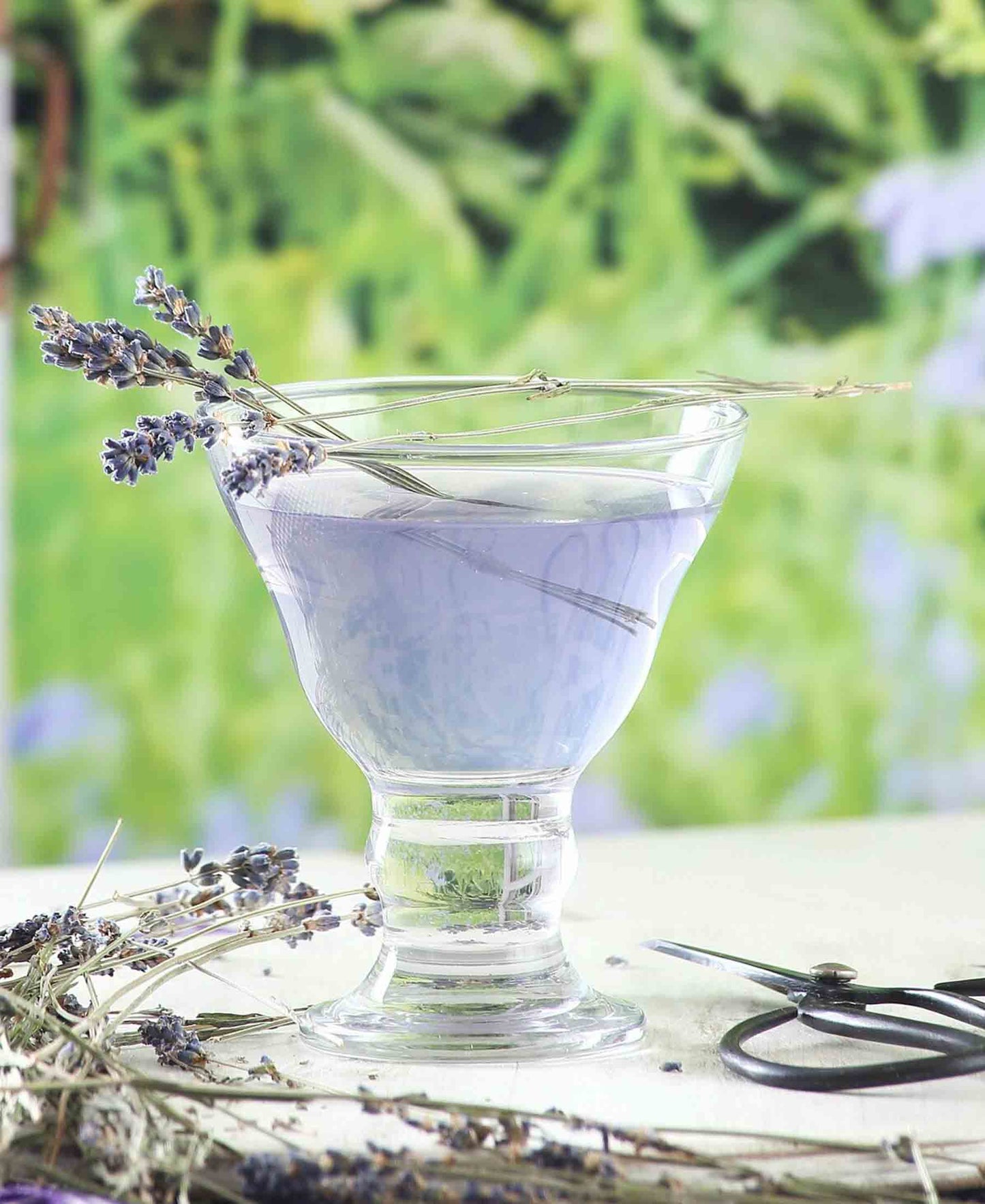 Table Pride Orion Glass Ice Cream Bowl - Clear