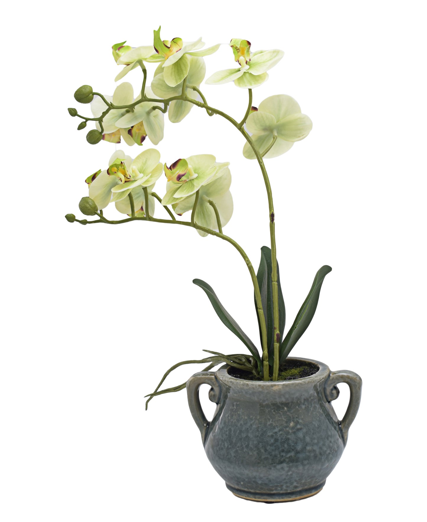 Urban Decor Green Orchid In Grey Pot-40CM