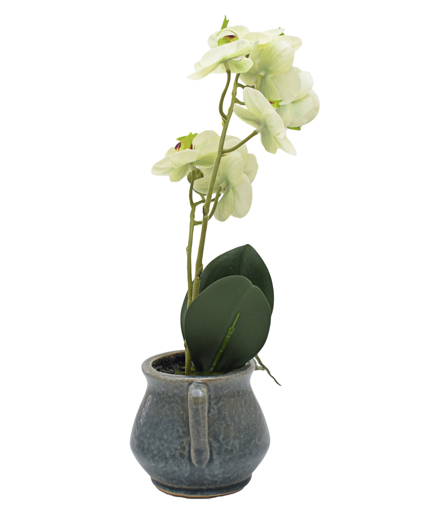 Urban Decor Green Orchid In Grey Pot-40CM