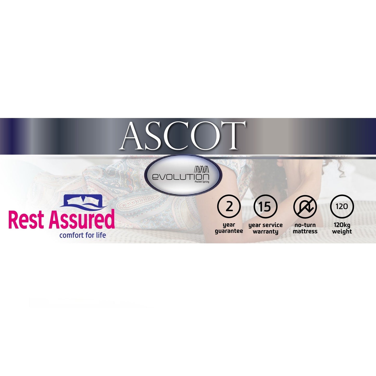 Rest Assured Ascot Bed King