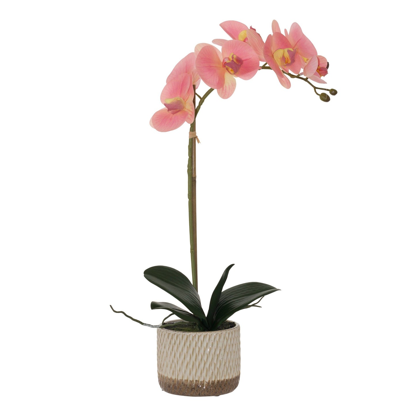 Urban Decor 48cm Two Tone Orchid - Pink