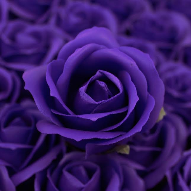 Urban Decor Artificial Flowers Box of 50 Dark Purple