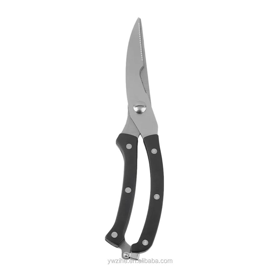 Regent Kitchen Poultry Shears Silver