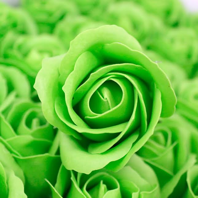 Urban Decor Artificial Flowers Box of 50 Light Green