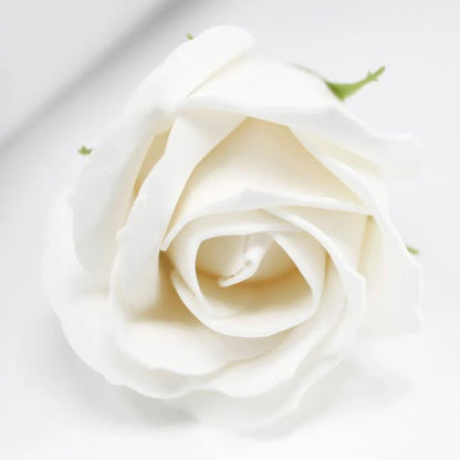 Urban Decor Artificial Flowers Box of 50 Cream