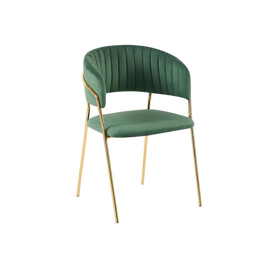 Exotic Designs Multipurpose Contemporary Chair Green