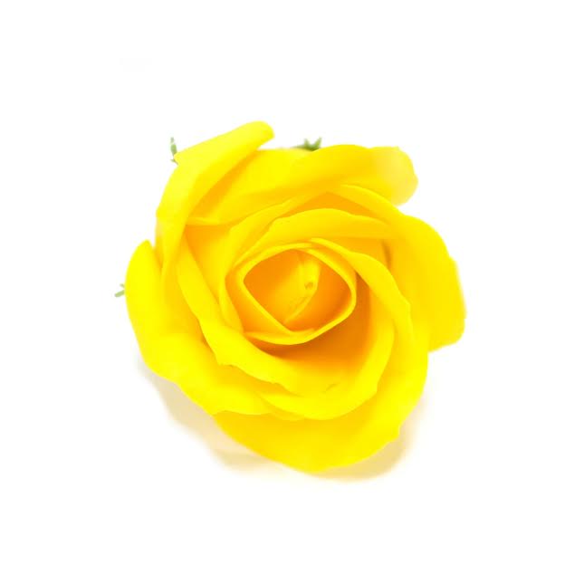 Urban Decor Artificial Flowers Box of 50 Yellow