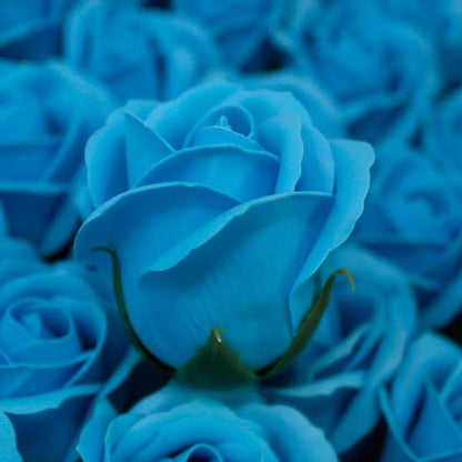 Urban Decor Artificial Flowers Box of 50 Blue