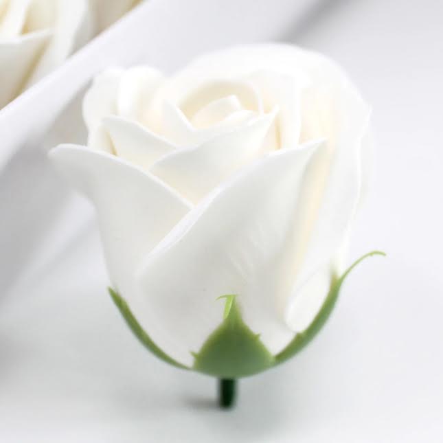 Urban Decor Artificial Flowers Box of 50 Cream
