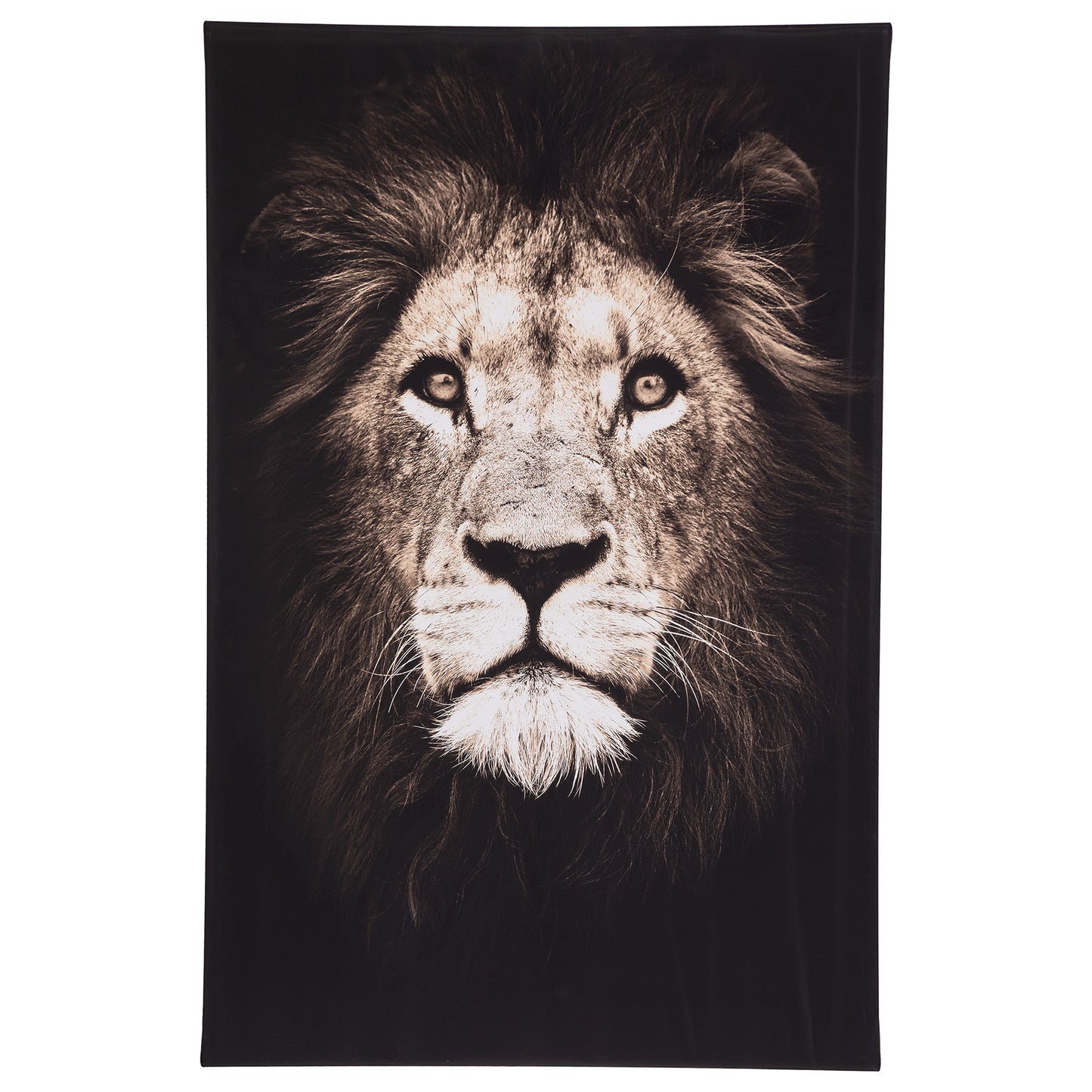 Atmosphera Animaux Framed Canvas Black