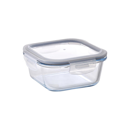 Aqua 520ml Glass Food Container Clear