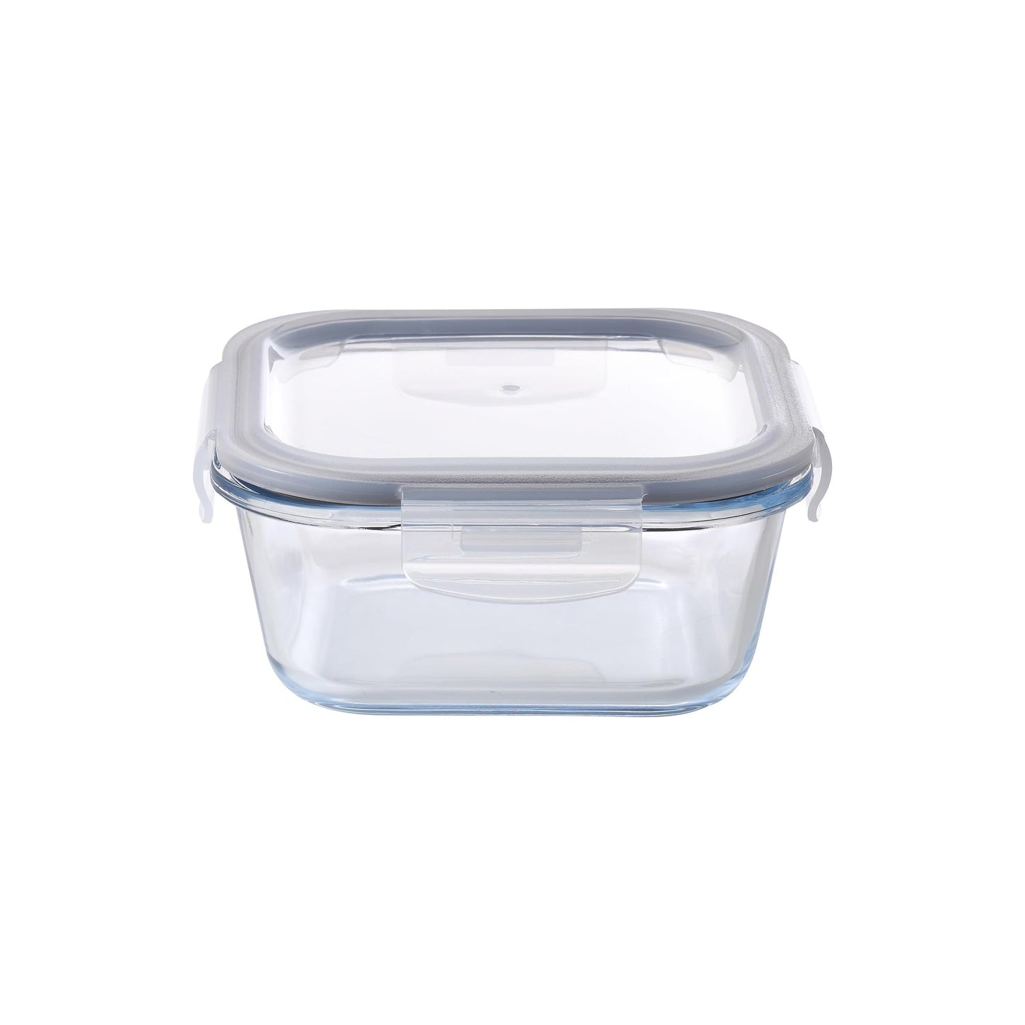 Aqua 520ml Glass Food Container Clear
