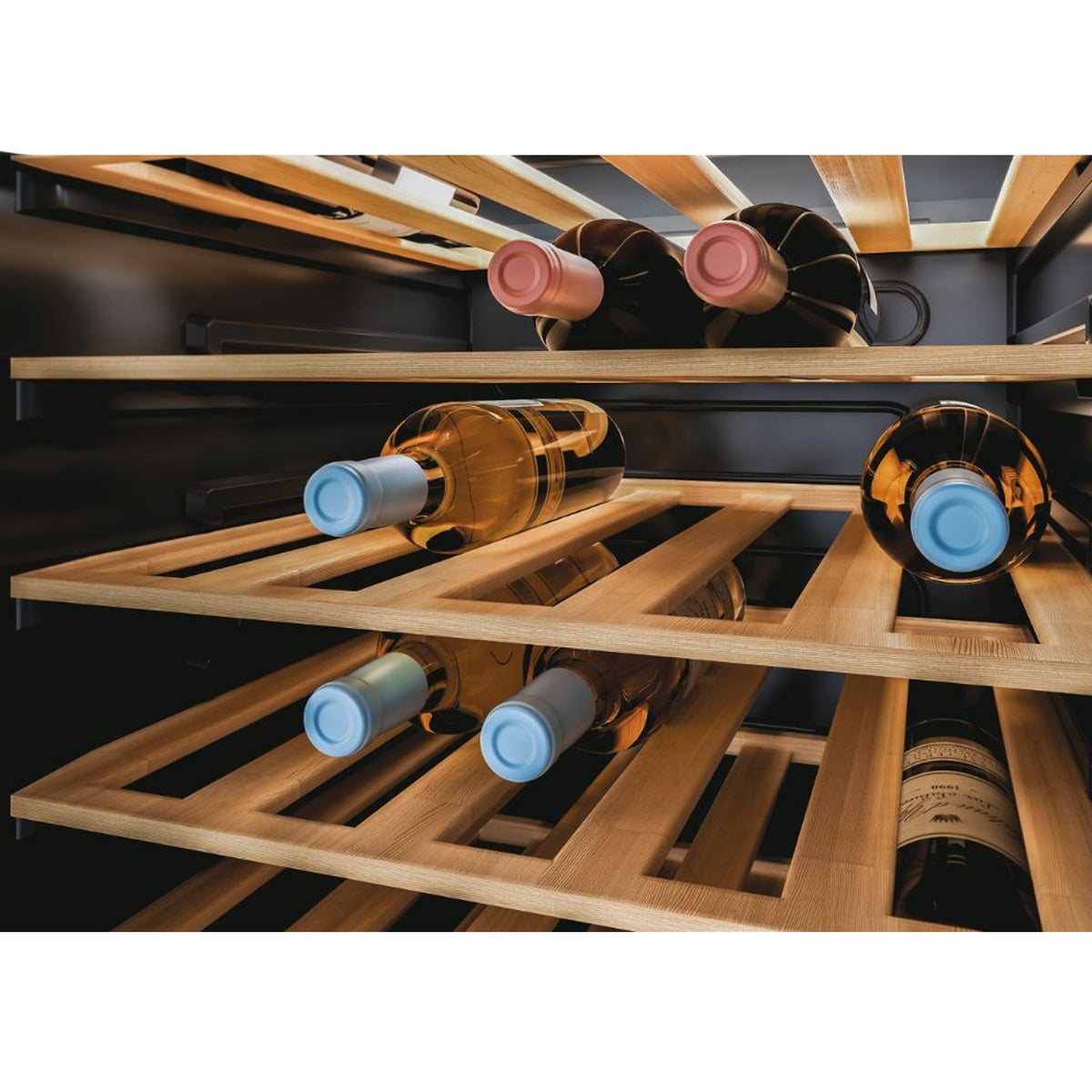Candy DiVino 81 Bottle Monozone Wine Cooler Black