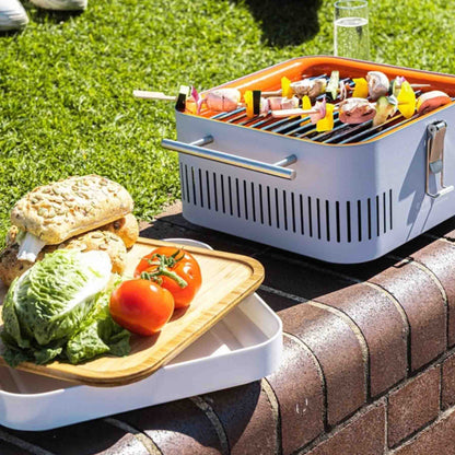 Everdure Cube Portable Braai Stone – The Culinarium