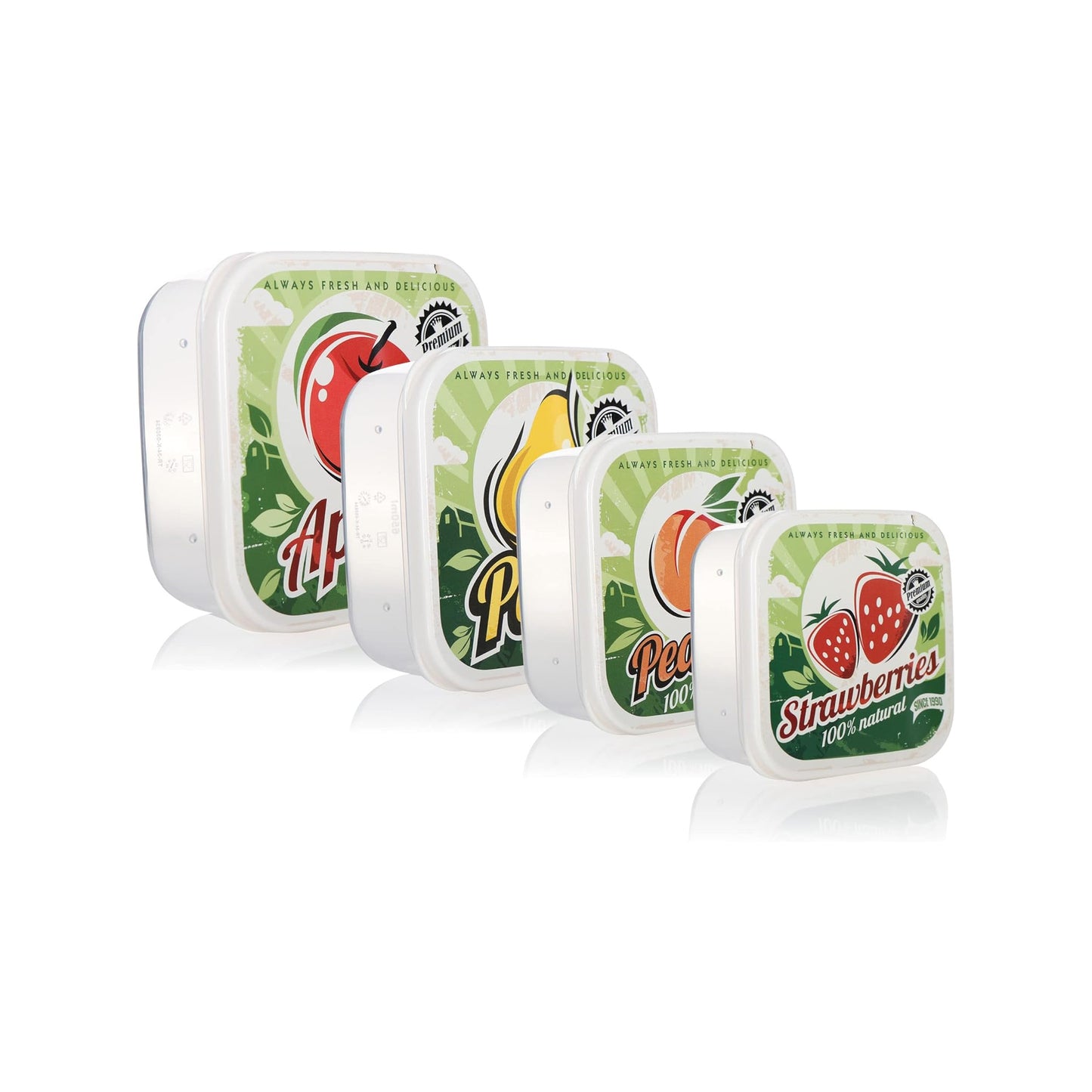 FunBox 4 Piece Square Lunch Box Set Clear