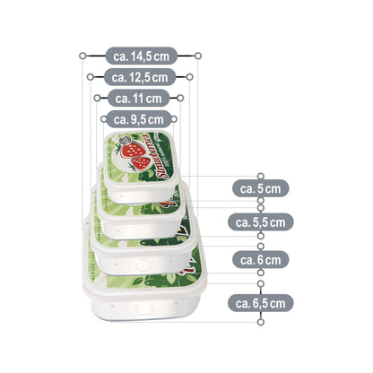 FunBox 4 Piece Square Lunch Box Set Clear