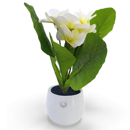 Artificial Flower Arrangement in Pot Plant White & Green