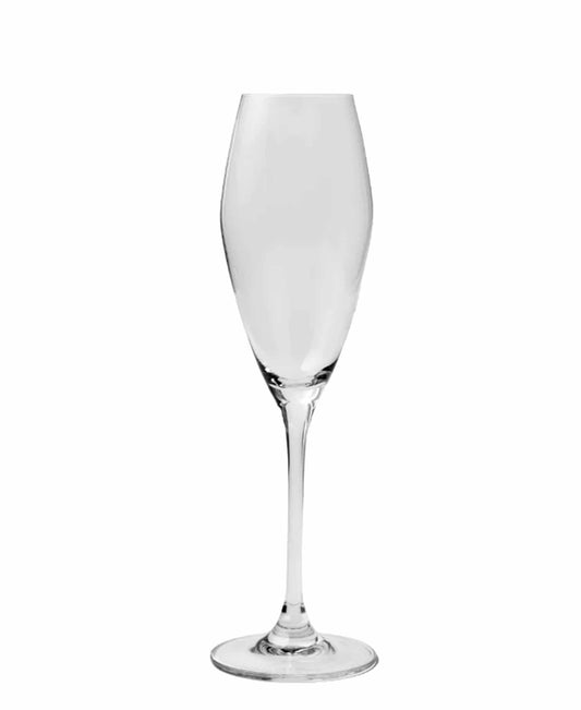 Jenna Clifford 4 Piece Champagne Glass Set - Clear