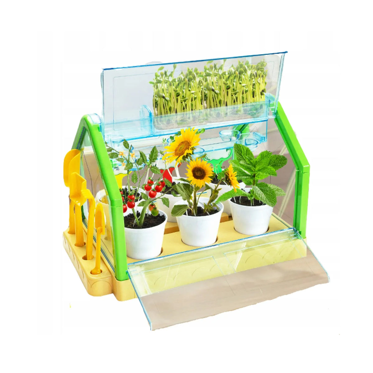 Planting Sunlight Room Greenhouse Kit Green