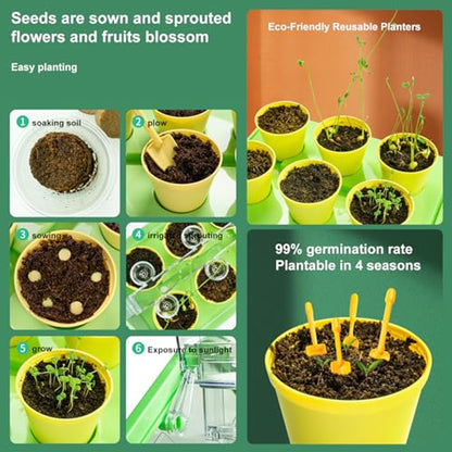Planting Sunlight Room Greenhouse Kit Green