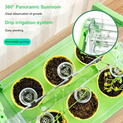 Planting Sunlight Room Greenhouse Kit Green