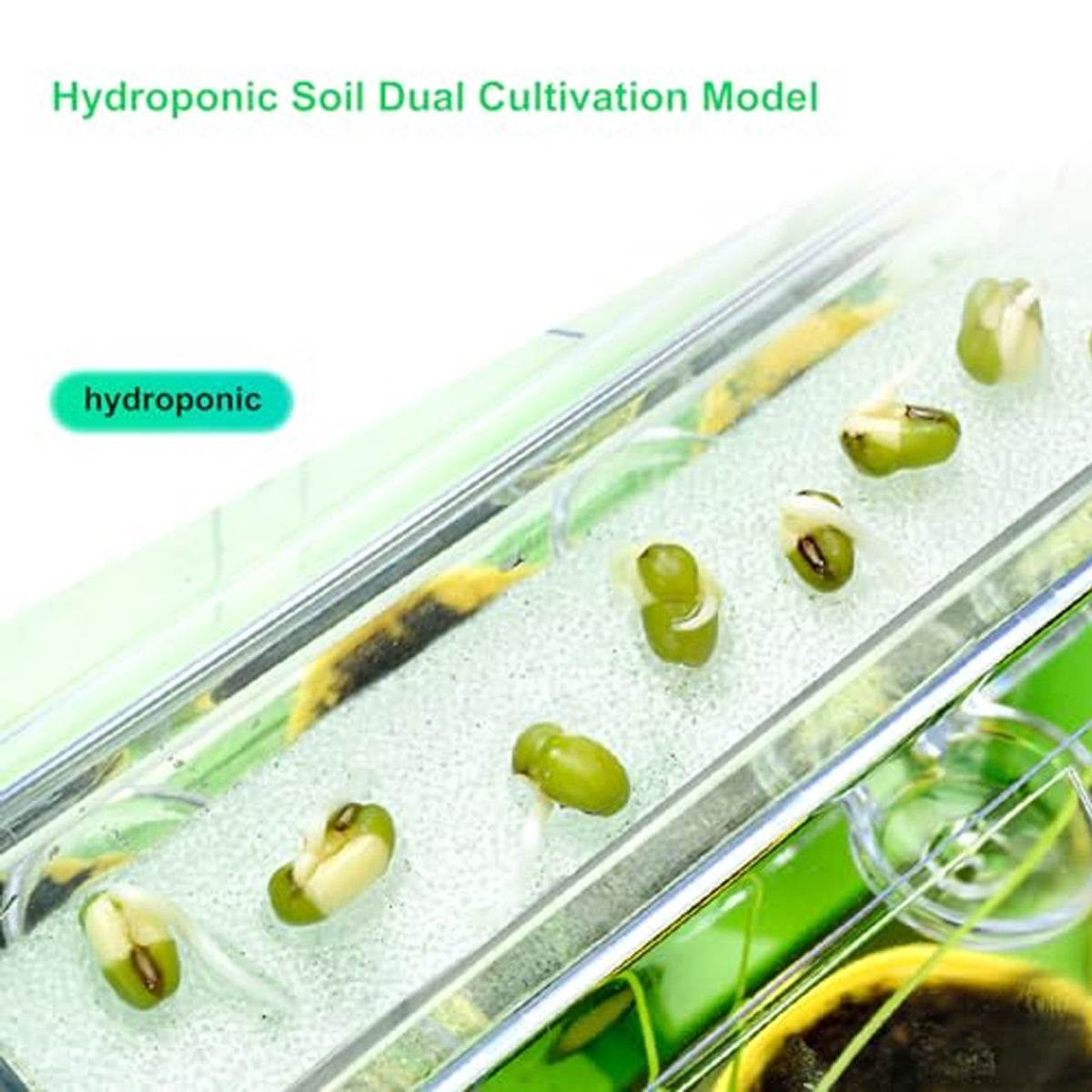 Planting Sunlight Room Greenhouse Kit Green