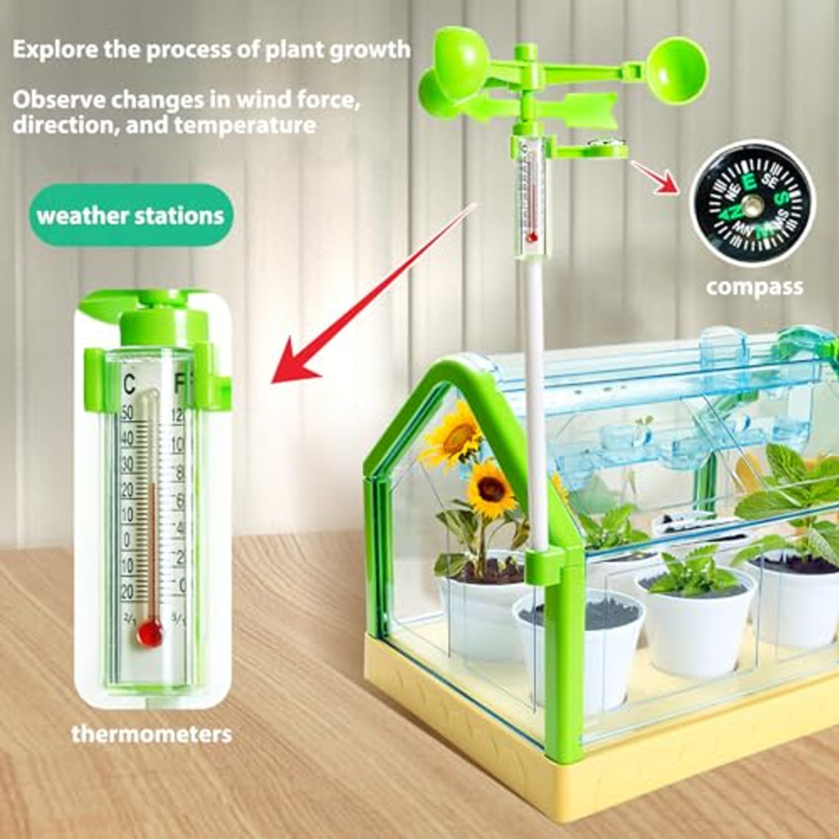 Planting Sunlight Room Greenhouse Kit Green