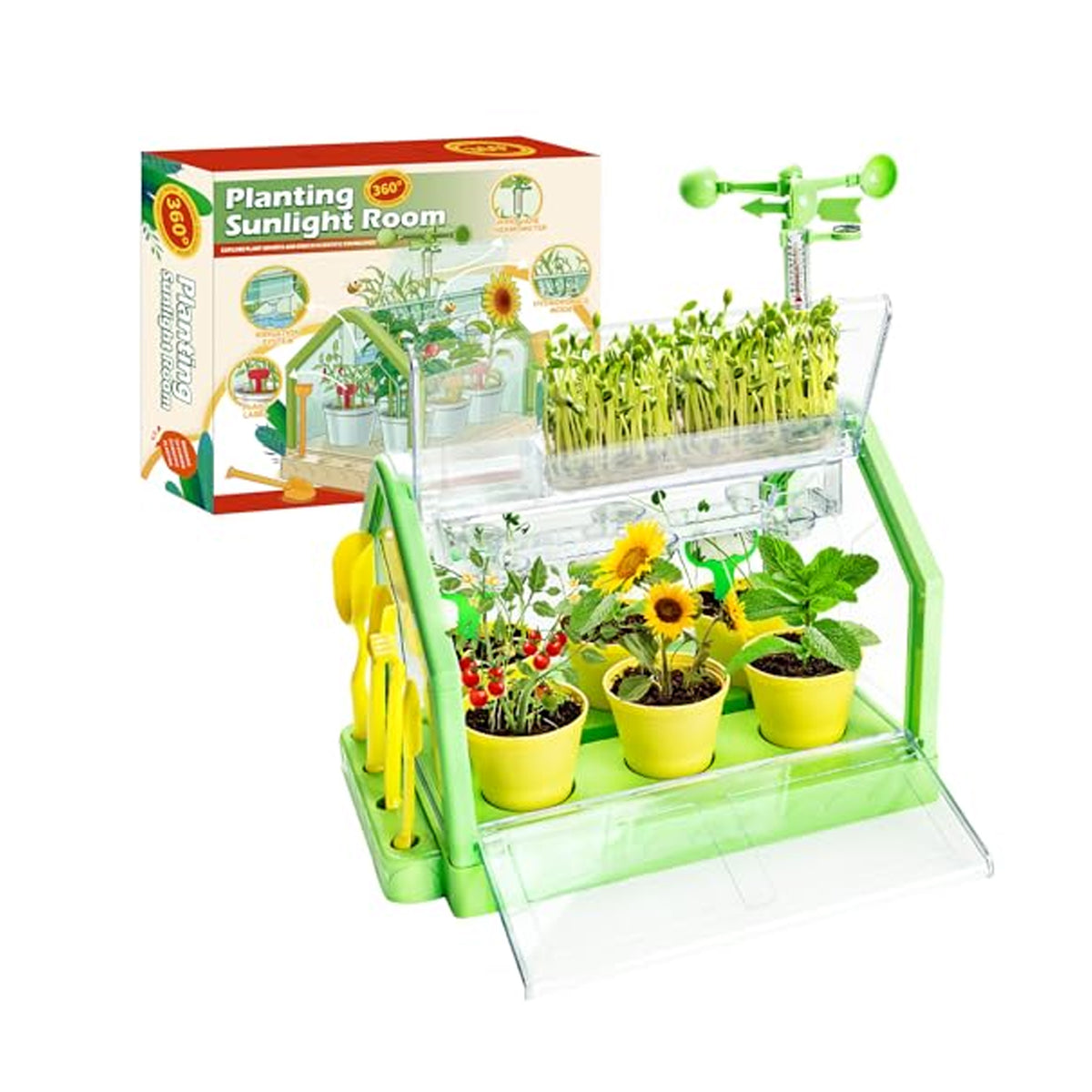 Planting Sunlight Room Greenhouse Kit Green