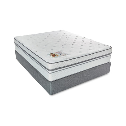 Rest Assured Cambridge Queen Bed With MJ Base