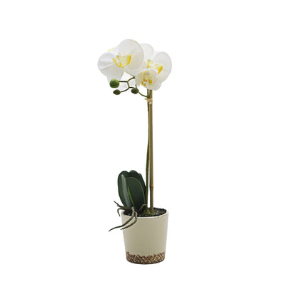 Urban Decor 43cm Real Touch Orchid White