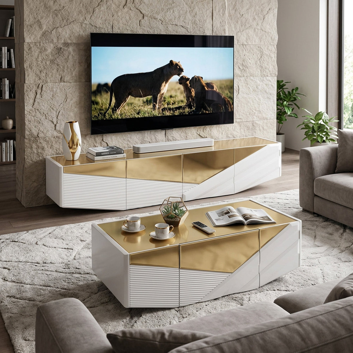 BF Royal Home Coffee Table and TV Stand Combo