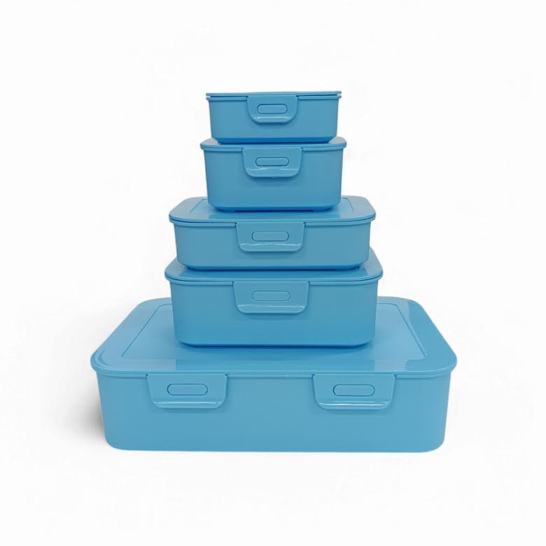 CH 5 Piece Container Set Blue