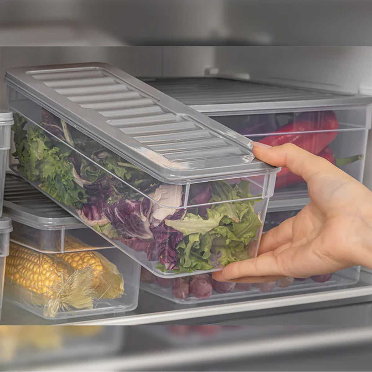 Fresh Box 2470ml Fresh Box Container Grey – The Culinarium