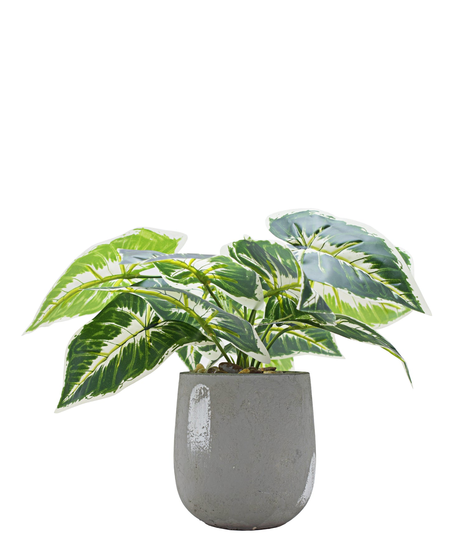 Urban Decor Ever Green Potted Plant - Green