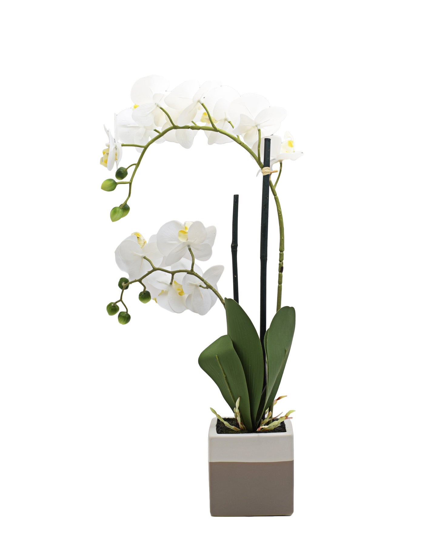 Urban Decor Orchid Pot Plant 51cm - White