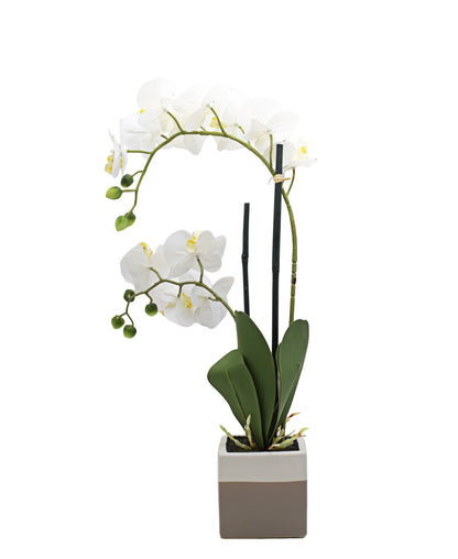 Urban Decor Orchid Pot Plant 51cm - White