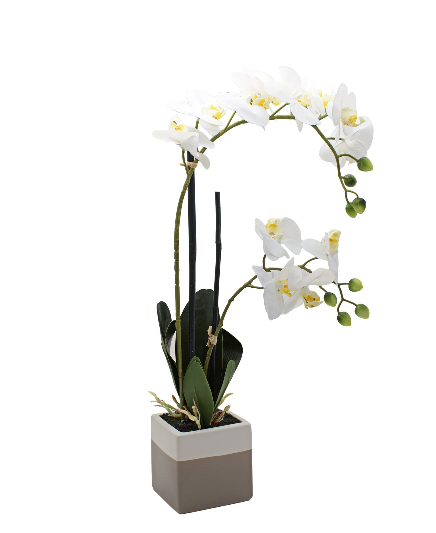 Urban Decor Orchid Pot Plant 51cm - White