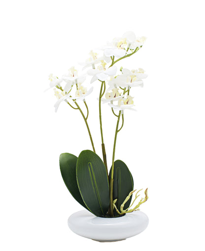 Urban Decor White Real Touch Orchid -30cm