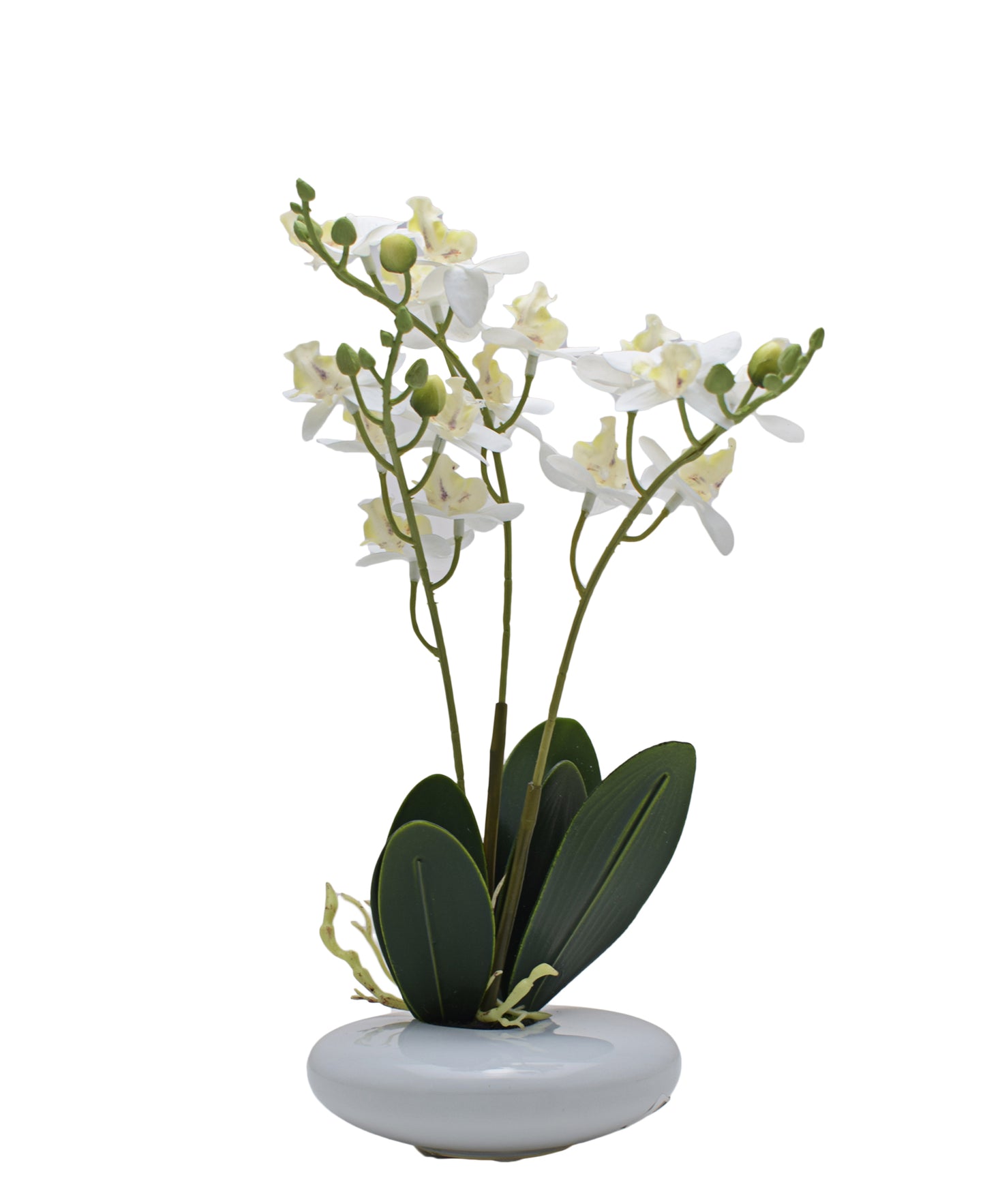 Urban Decor White Real Touch Orchid -30cm