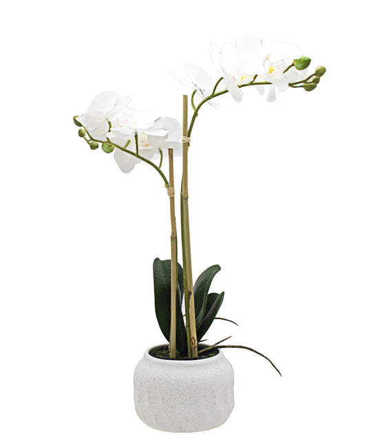 Urban Decor White Orchid In Pot- 46CM