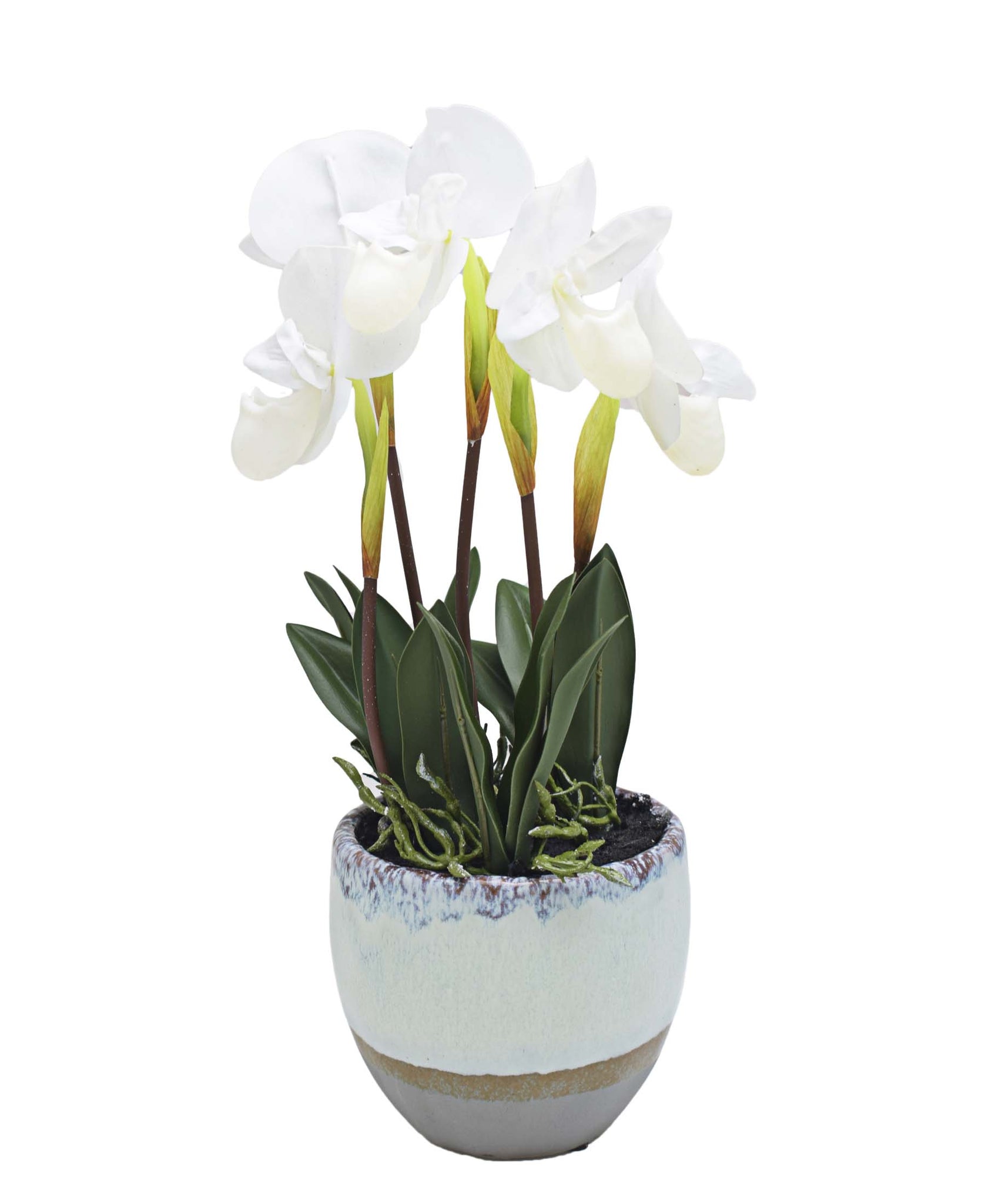 Urban Decor 36cm Paphiopedilum Pot Plant - White & Grey