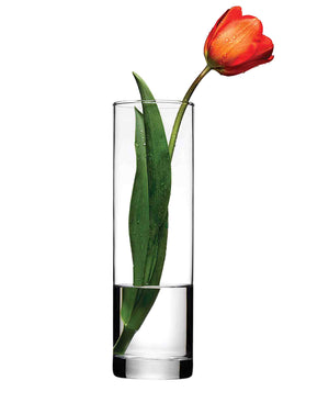 Pasabahce Botanica Vase - Clear